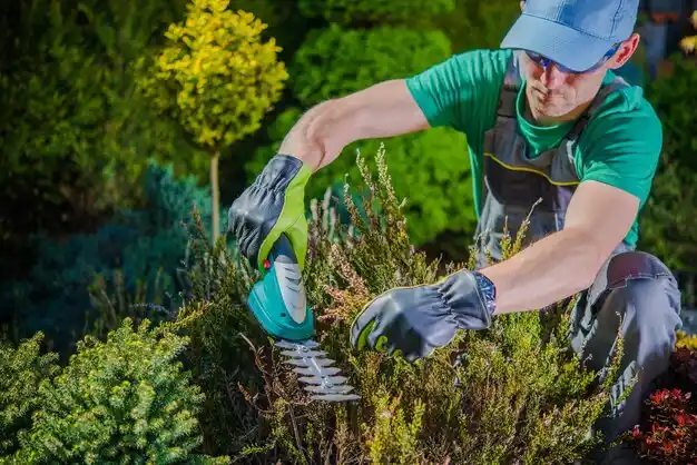 landscaping services Black River